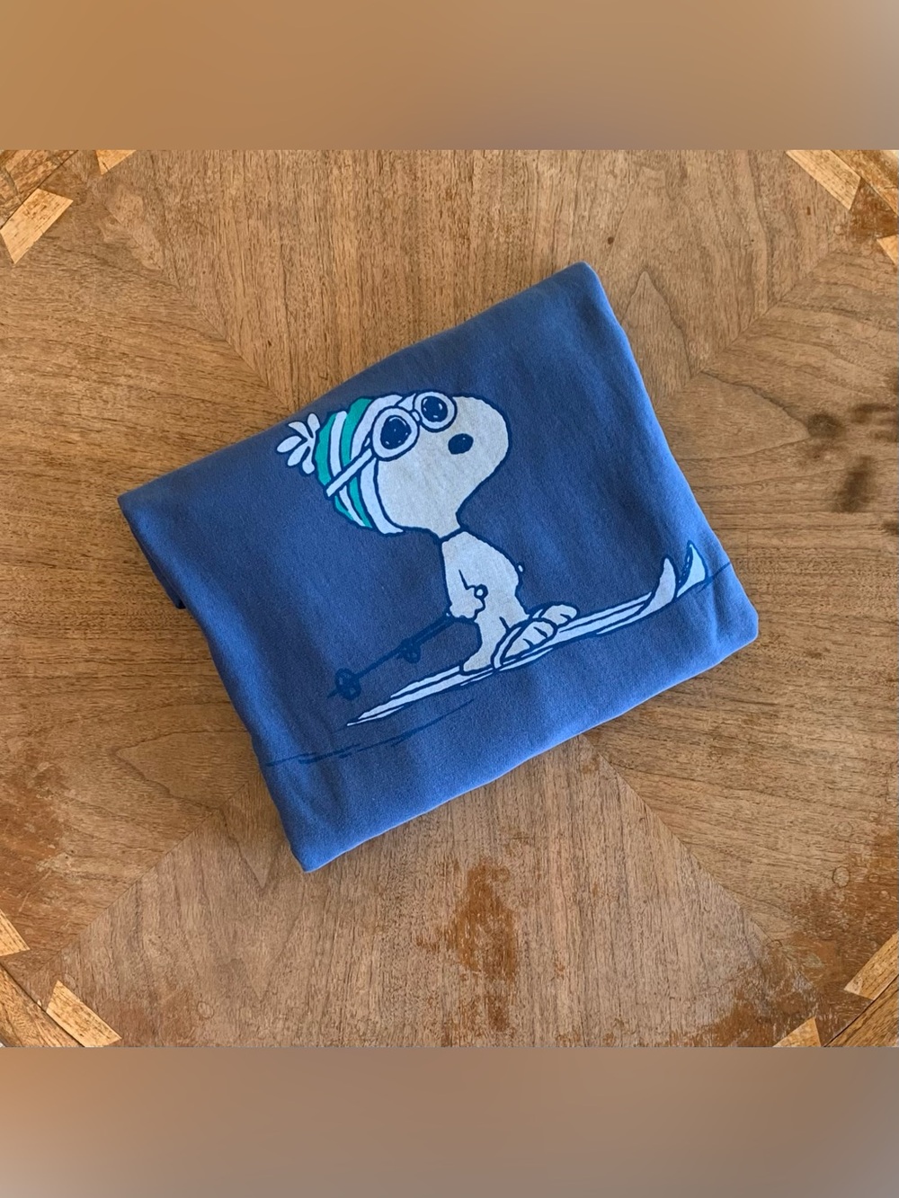 AE Cobalt Snoopy Apres Graphic Hoodie